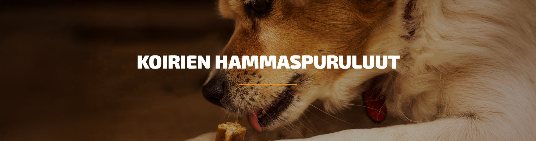 Koirien hammaspuruluut: Asiantuntijavinkit oikeiden puruluiden valintaan