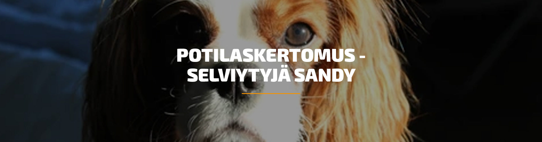 Potilaskertomus - Selviytyjä Sandy