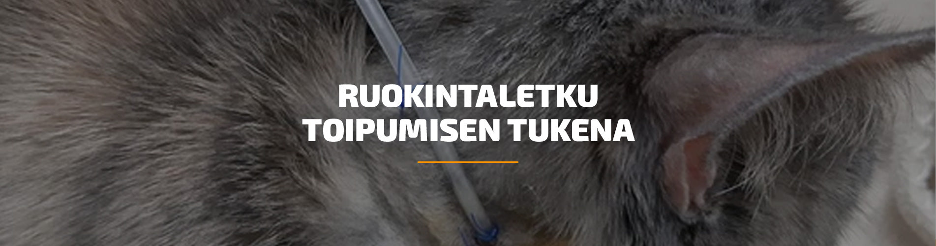 Ruokintaletku toipumisen tukena