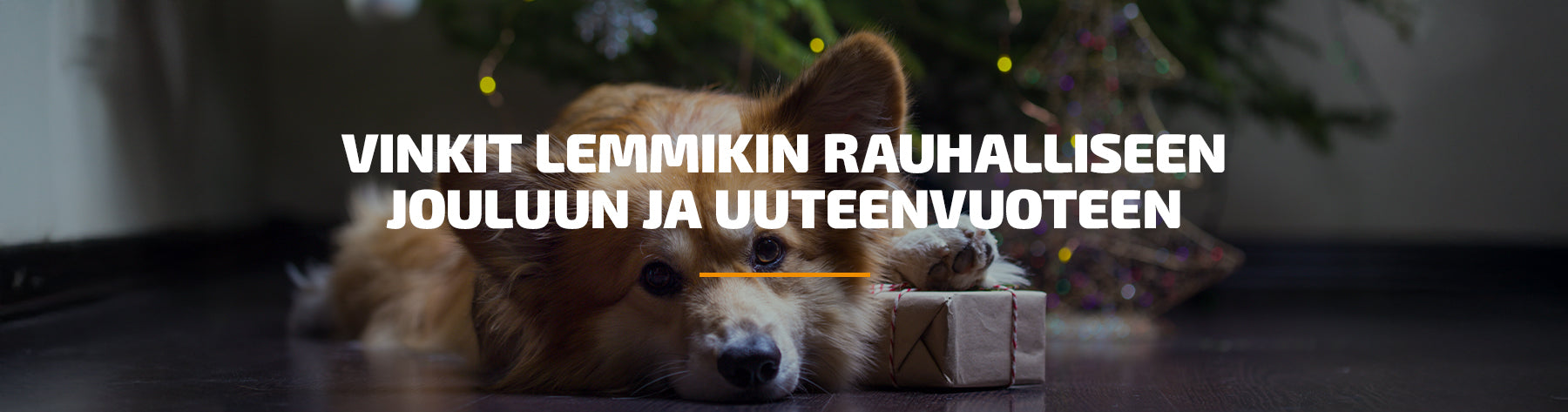 Vinkit lemmikin rauhalliseen jouluun ja uuteenvuoteen