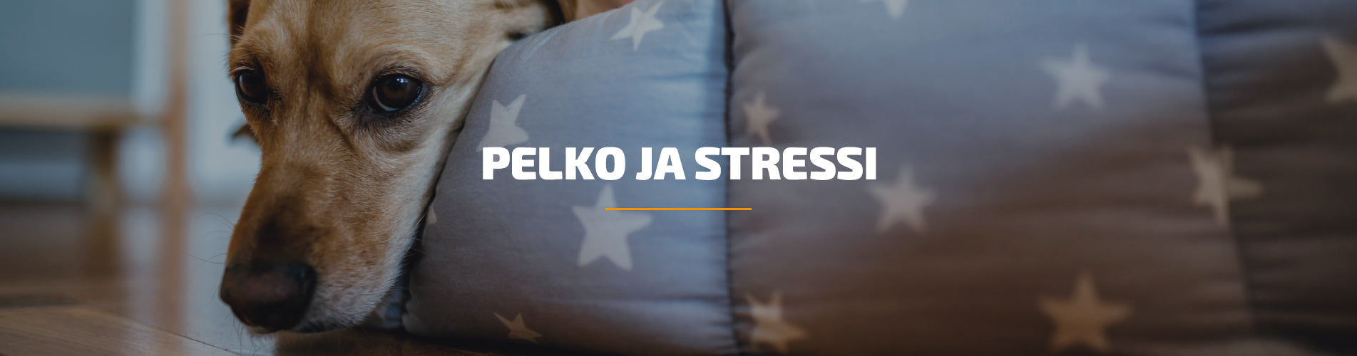 pelko-ja-stressi-1