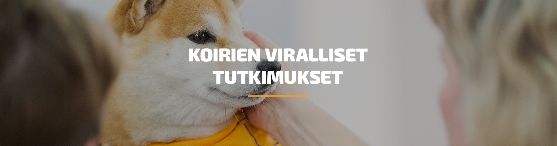 Koirien viralliset tutkimukset