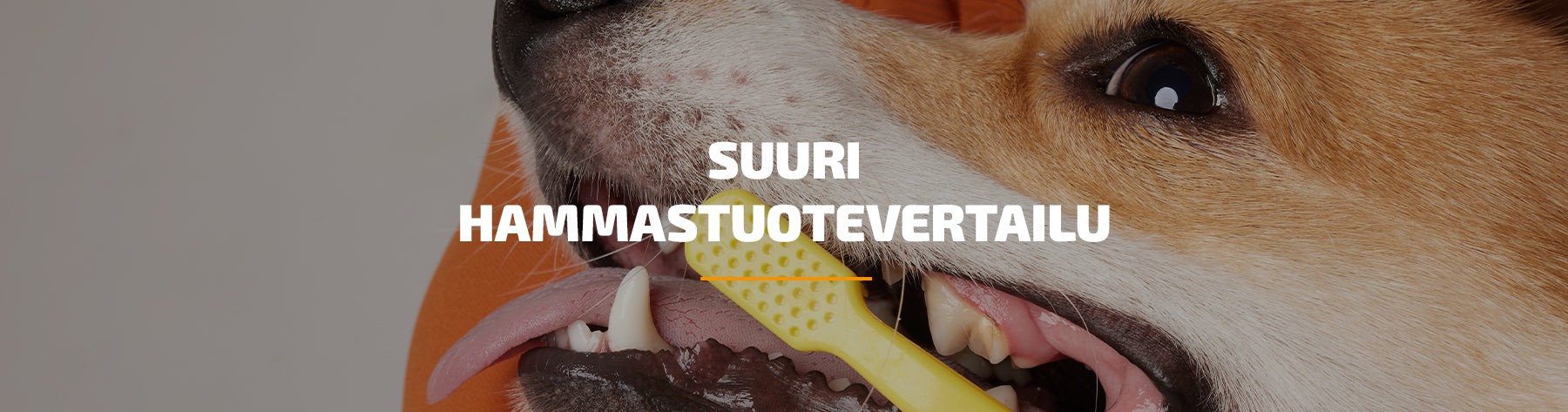 Suuri hammastuotevertailu