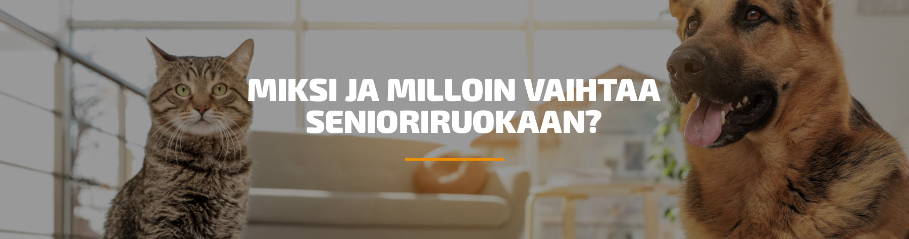 Miksi ja milloin vaihtaa senioriruokaan?