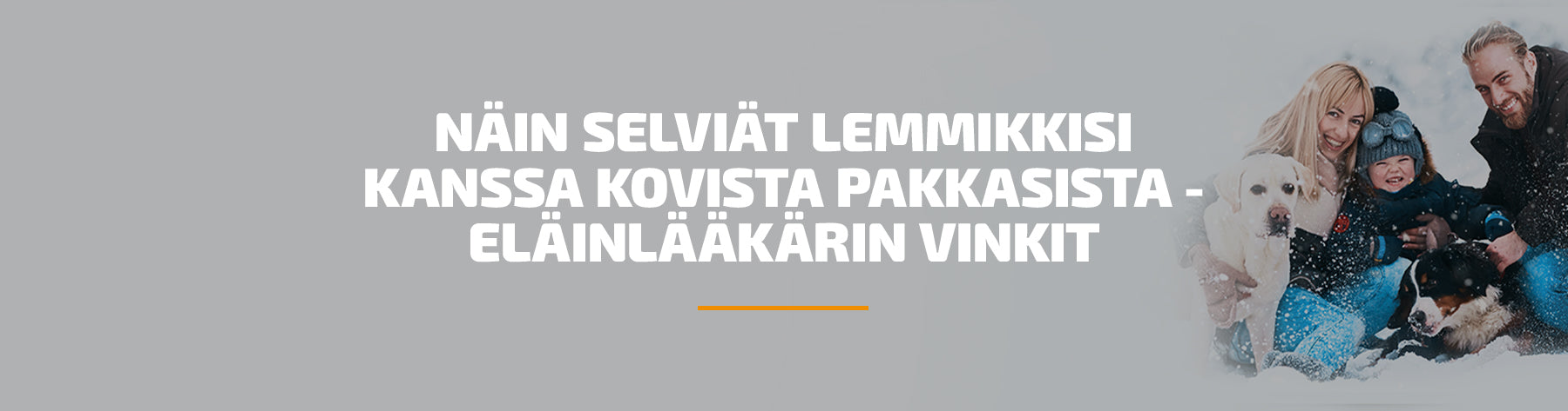 Näin selviät lemmikkisi kanssa kovista pakkasista - Eläinlääkärin vinkit