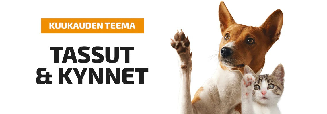 Teema - Tassut & Kynnet