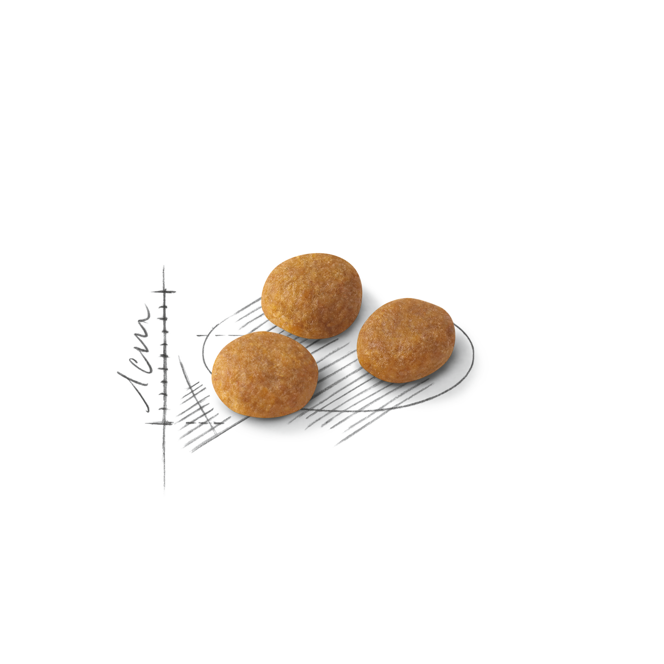 Royal Canin Aroma Exigent kissalle 2 kg