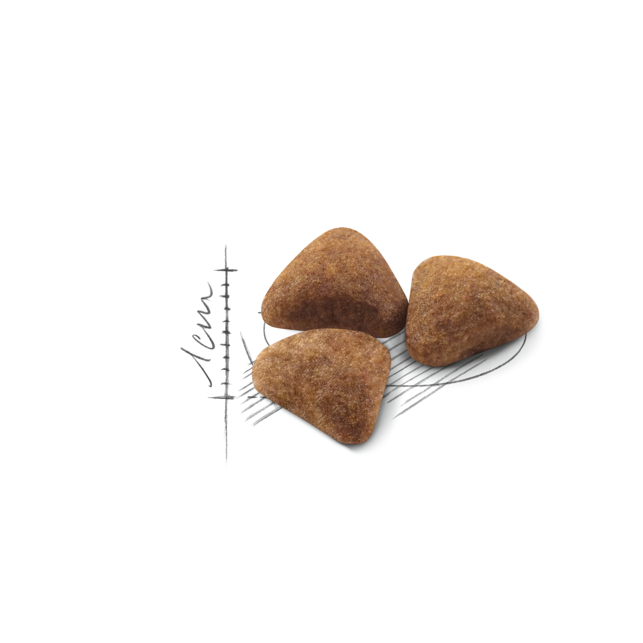 Royal Canin Indoor kissalle 2 kg
