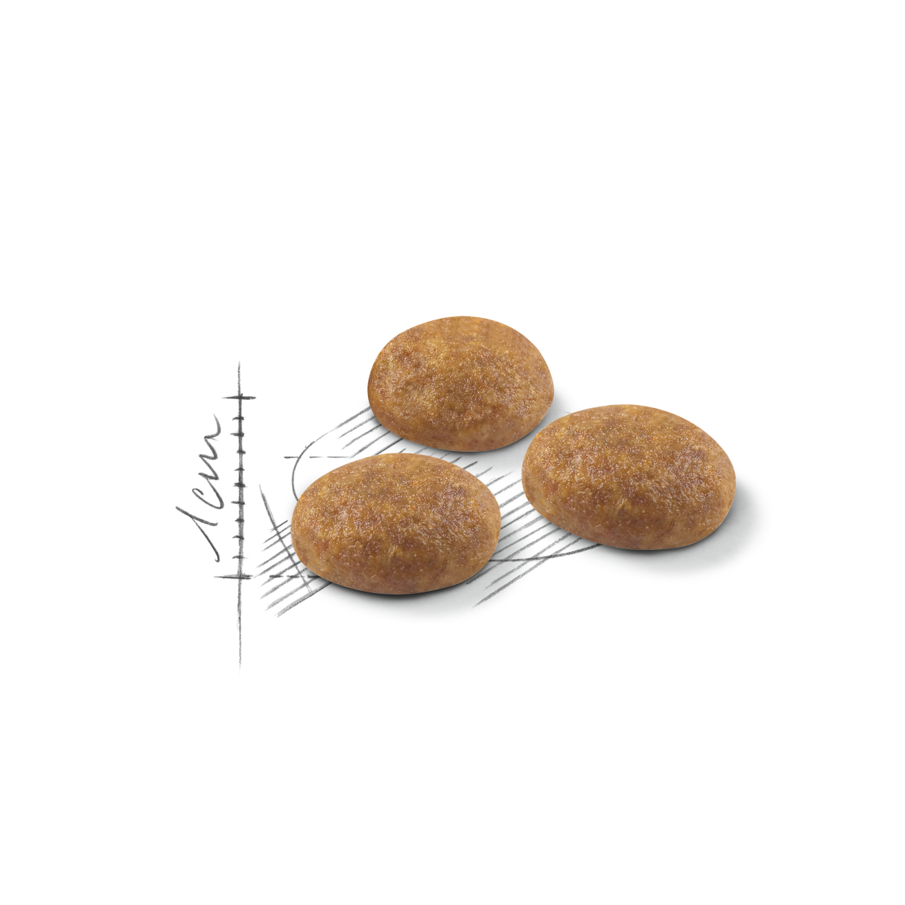 Royal Canin Outdoor kissalle 2 kg