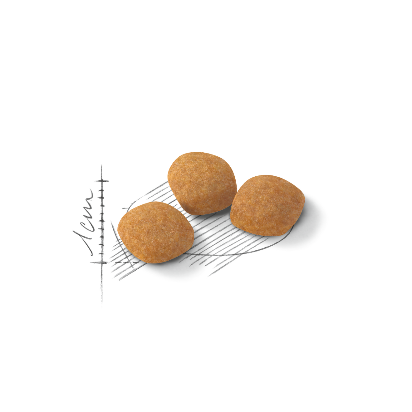 Royal Canin Protein Exigent kissalle 2 kg