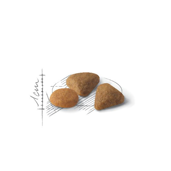 Royal Canin Savour Exigent kissalle 2 kg