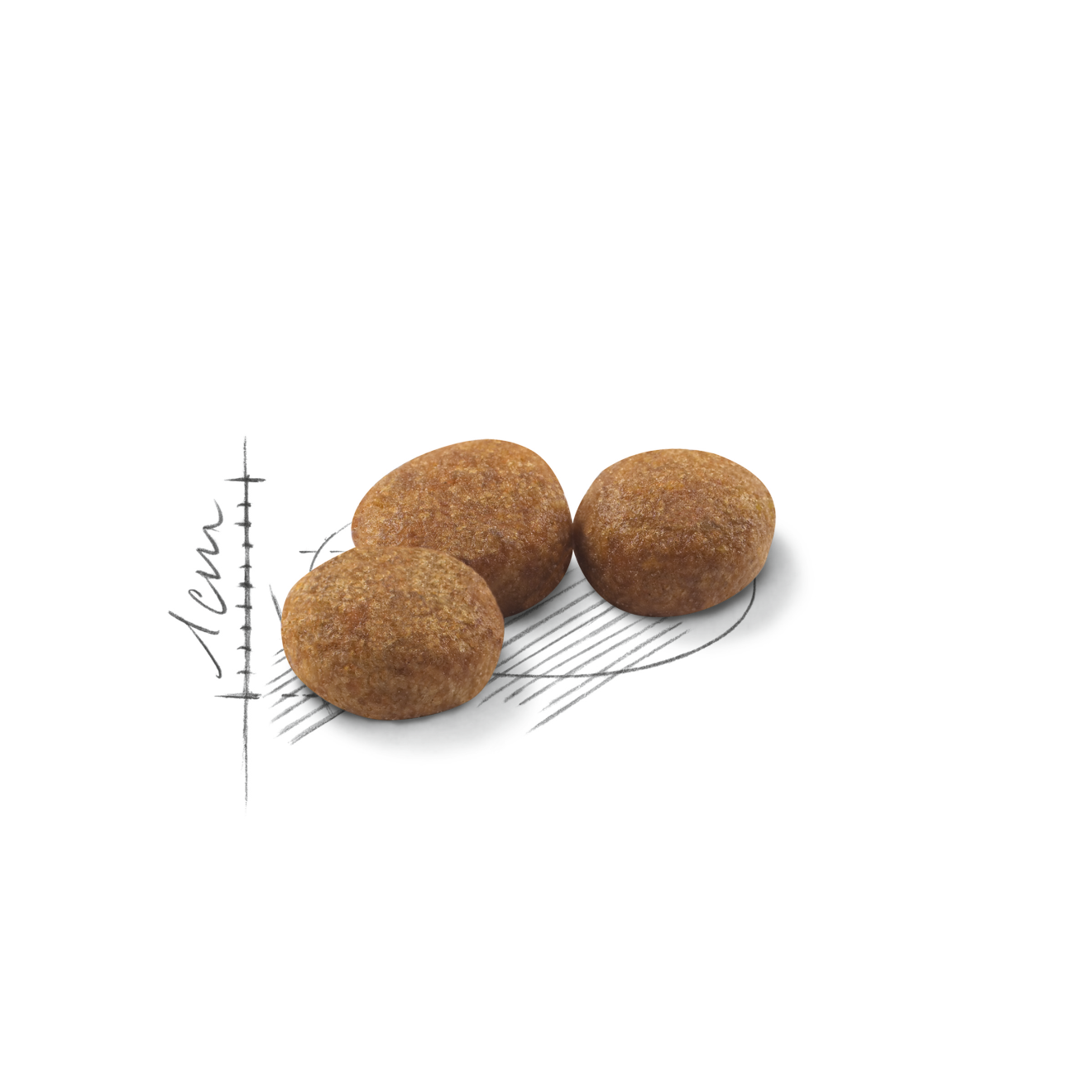 Royal Canin Sterilised kissalle 2 kg