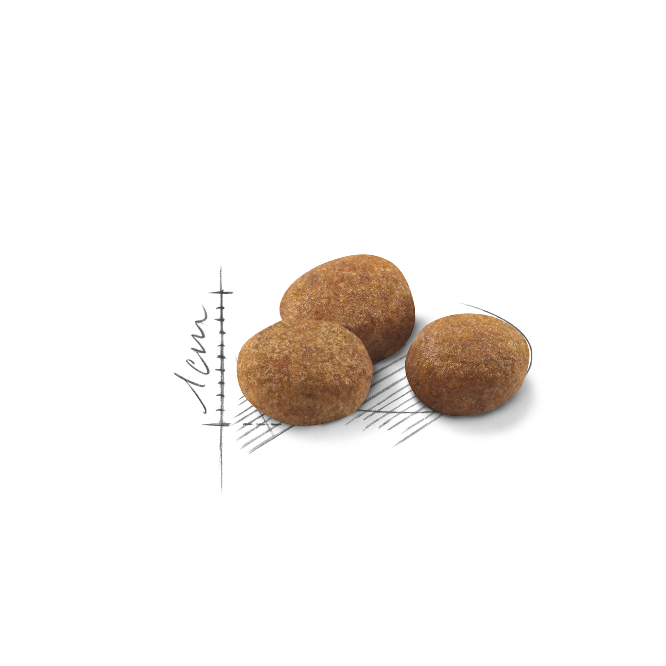 Royal Canin Sterilised 7+ kissalle 10 kg