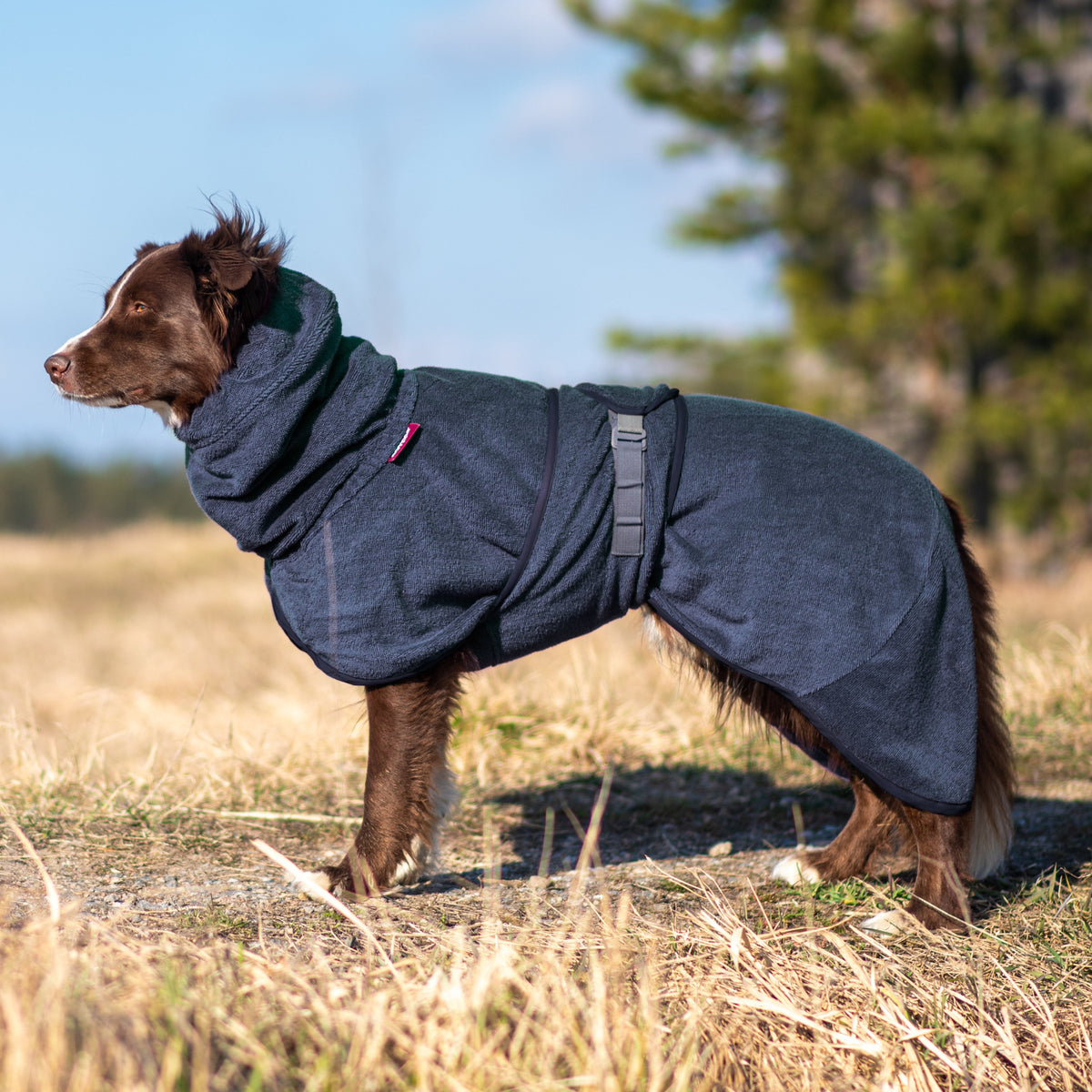 BathPomppa kylpytakki