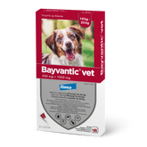 Bayvantic vet 1250/250 mg 4 x 2.5 ml paikallisvaleluliuos koirille 10–25 kg