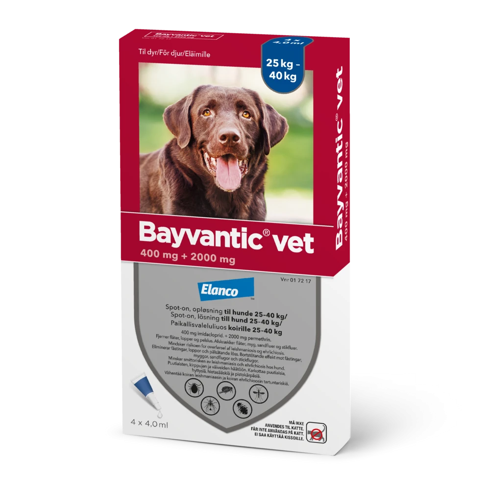 Bayvantic vet 2000/400 mg 4 x 4 ml paikallisvaleluliuos koirille 25–40 kg