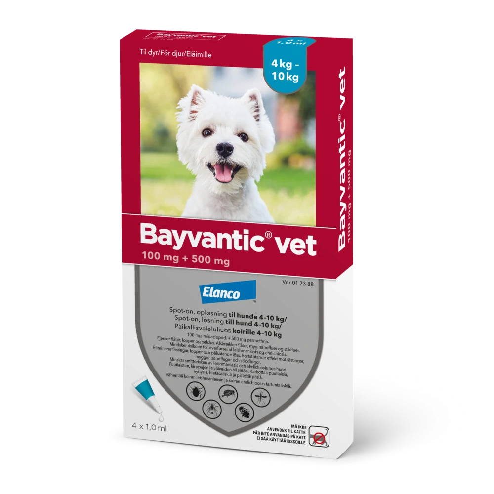 Bayvantic vet 500/100 mg 4 x 1 ml paikallisvaleluliuos koirille 4–10 kg