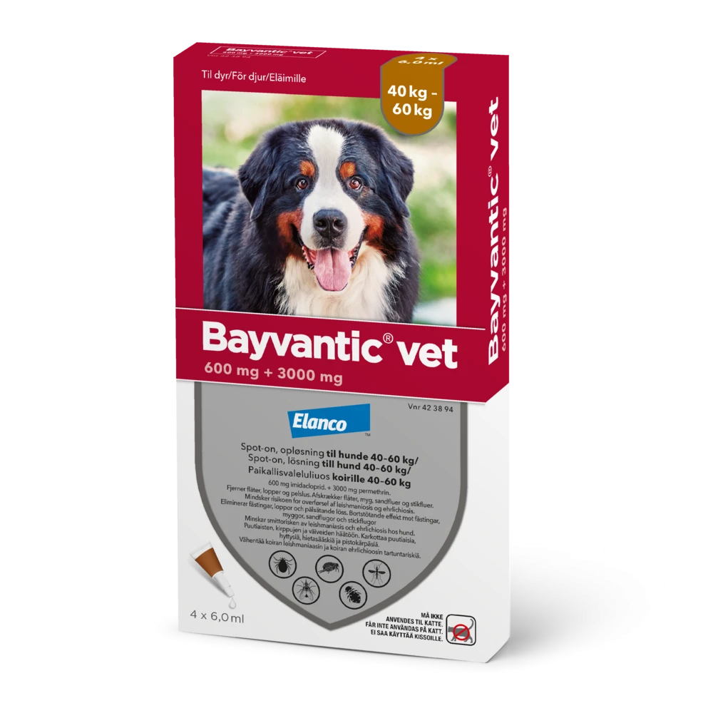 Bayvantic vet 3000/600 mg 4 kpl paikallisvaleluliuos koirille 40–60 kg
