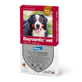 Bayvantic vet 3000/600 mg 4 kpl paikallisvaleluliuos koirille 40–60 kg