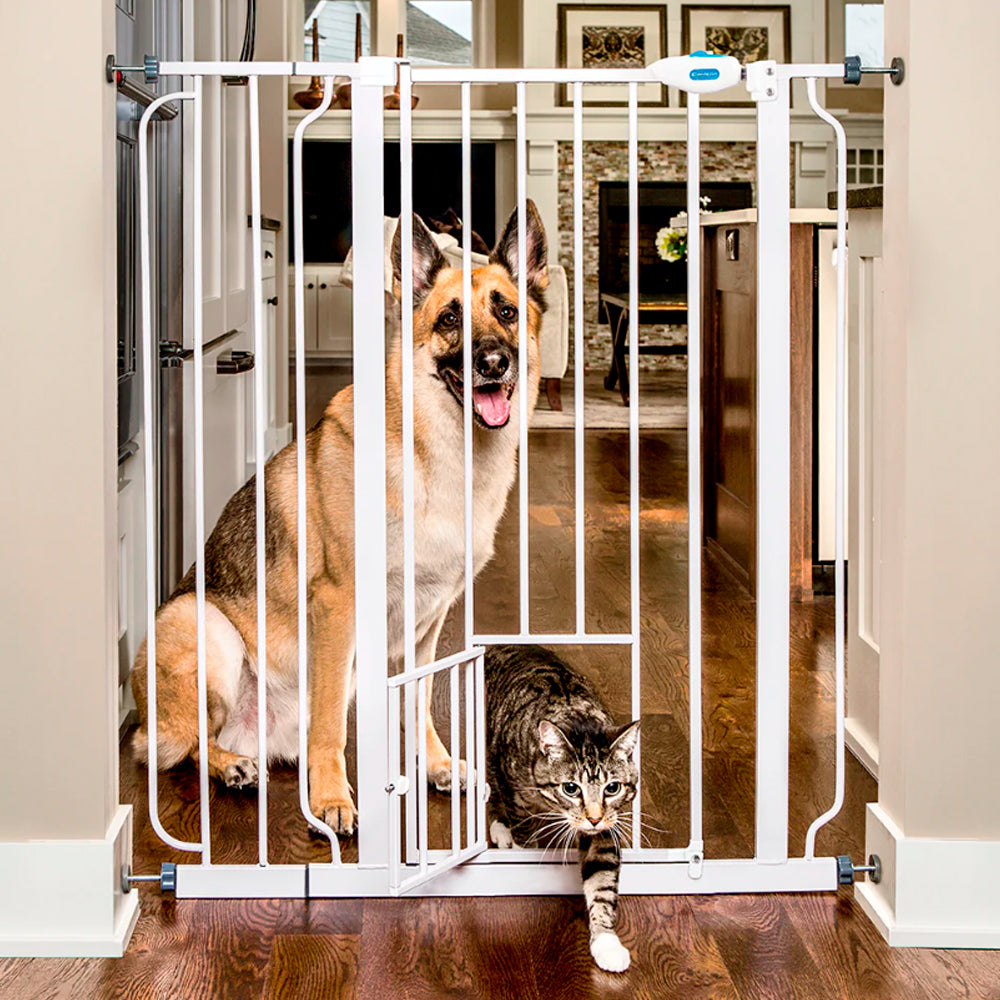 Carlson korkea lemmikkiportti