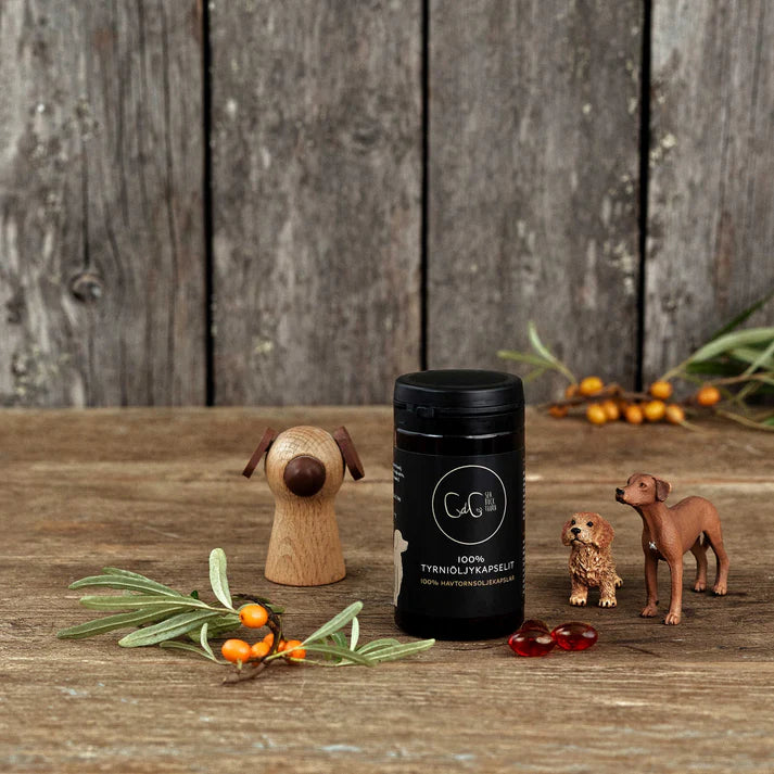 Chia de Gracia CdG Sea buckthorn Tyrniöljykapselit koirille 60 kpl