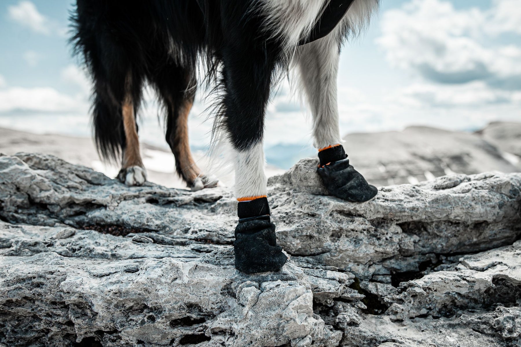 Non-stop Protector bootie XXL 4 kpl