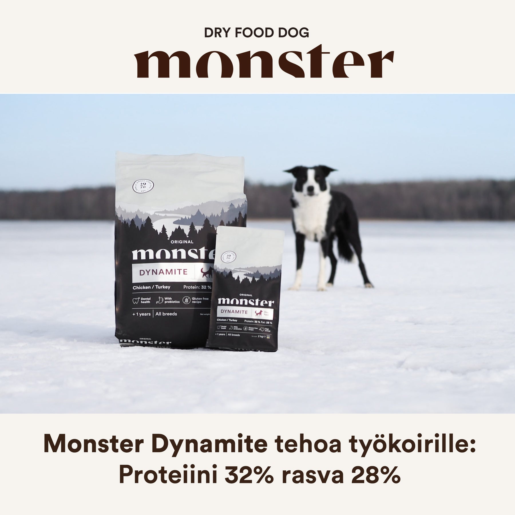 Monster Dog Original Dynamite Chicken-Turkey koiralle 2 kg