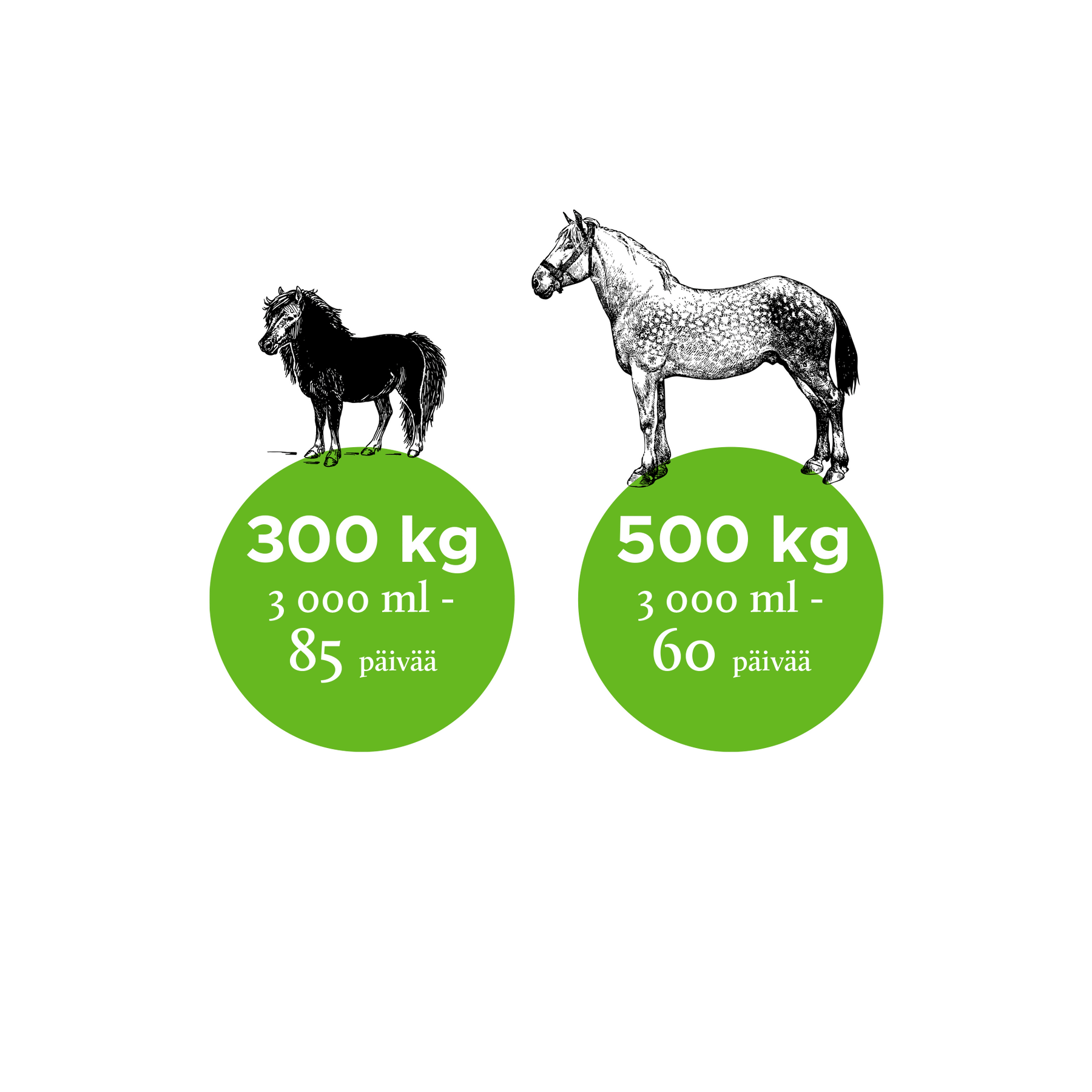 Nutrolin Horse Skin & Coat hevoselle 3 L