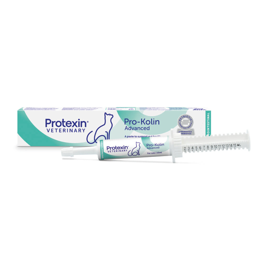 Protexin Veterinary Pro-Kolin Advanced kissalle 15 ml