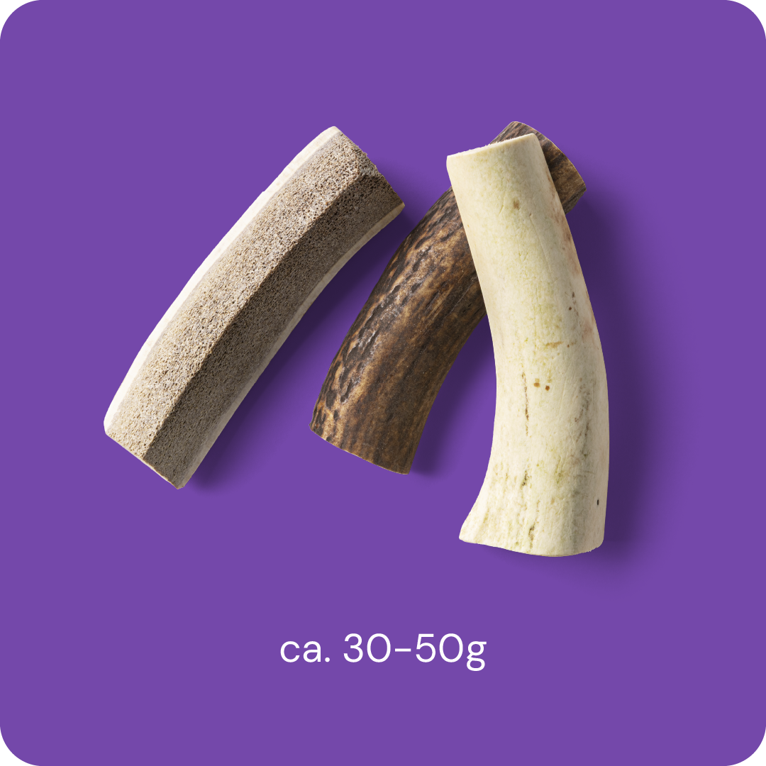 Nutriment Split Antler S - Peuran sarvi 1 kpl