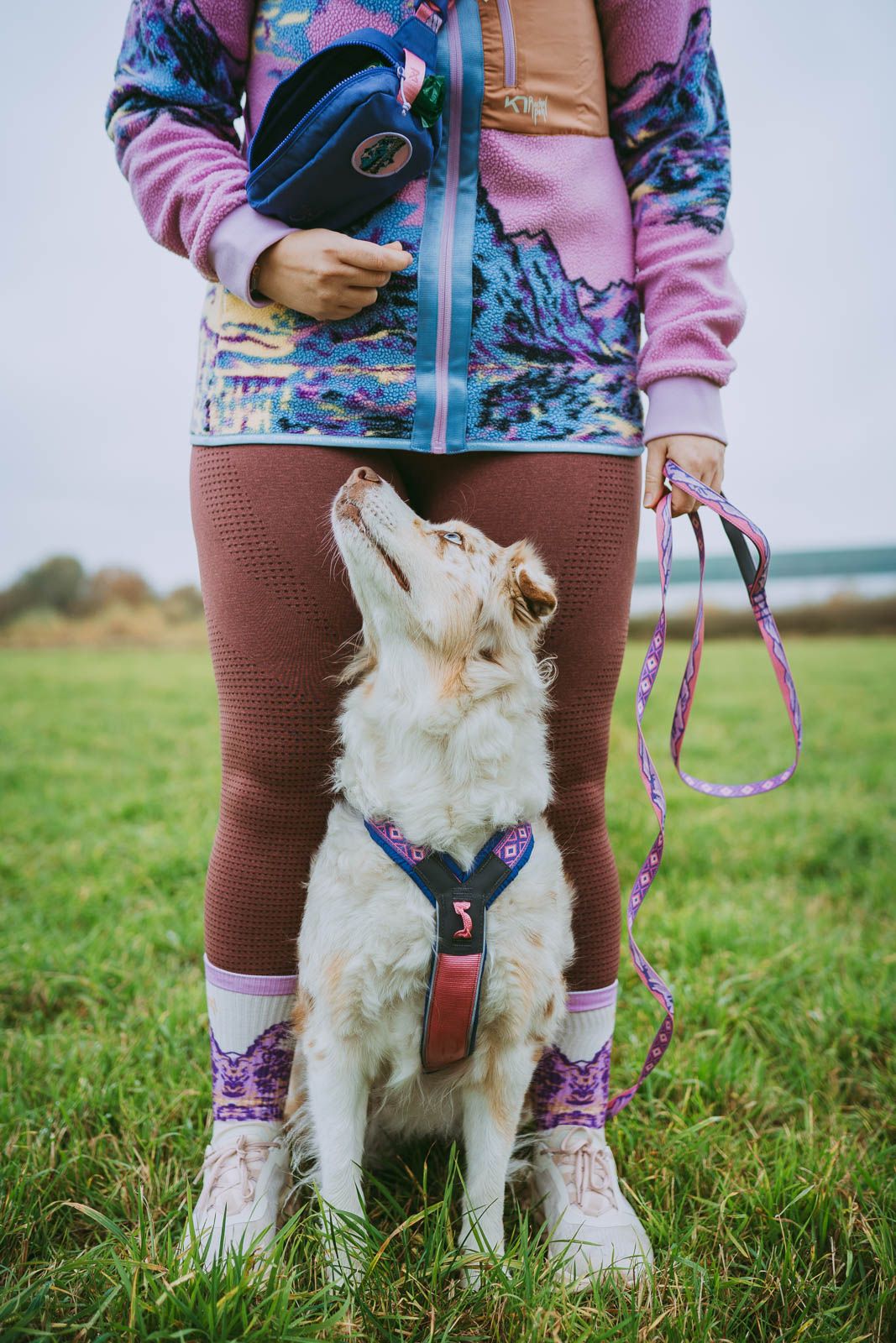 Non-stop Trail quest leash Rachel Pohl edition violetti/vaaleanpunainen 15mm/2m