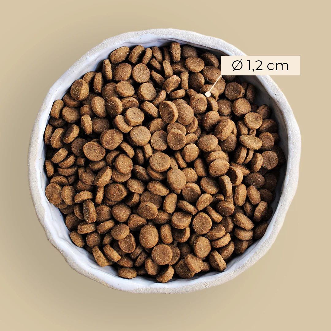 Alvar Pet Juuri koiran kuivaruoka 6 kg