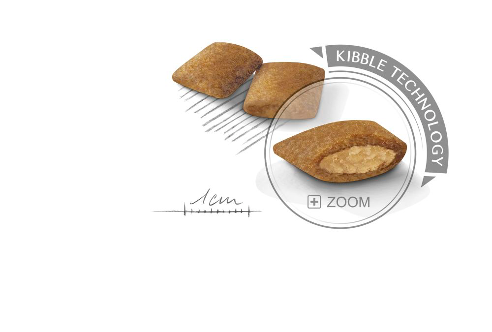 Royal Canin Exigent Mini koiralle 3 kg