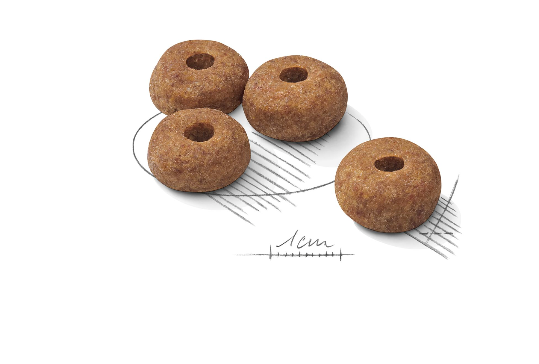 Royal Canin Sterilised Medium koiralle 3 kg PÄIVÄYSTARJOUS