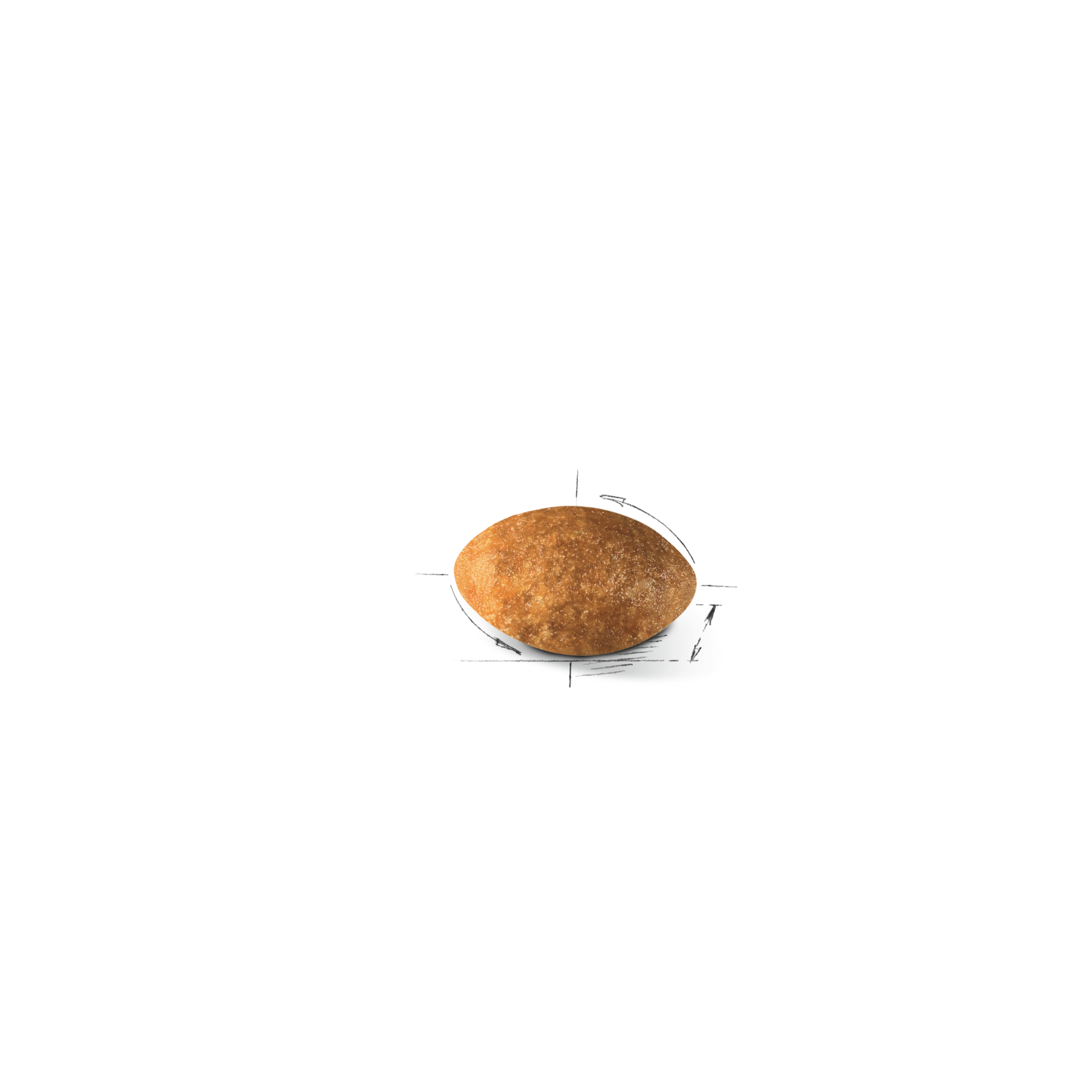 Royal Canin Persian Adult kissalle 10 kg