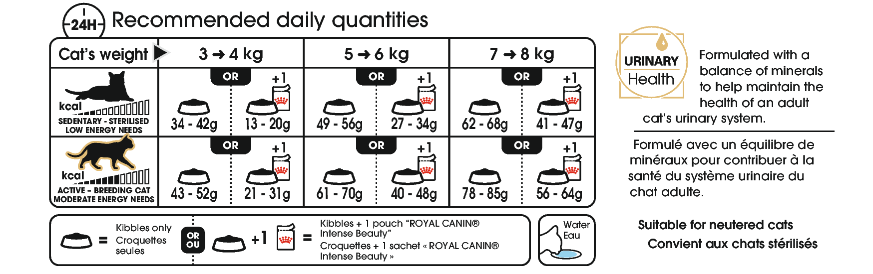 Royal Canin Ragdoll Adult kissalle 2 kg