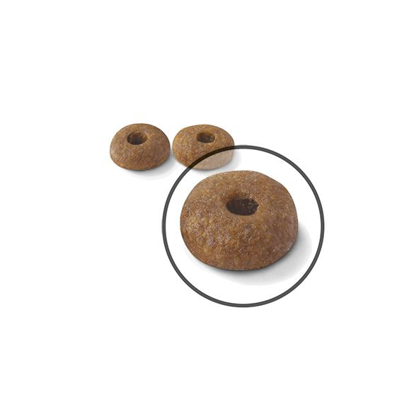 Royal Canin Digestive Care kissalle 400 g