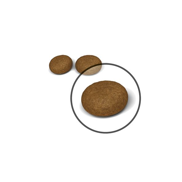 Royal Canin Hair & Skin Care kissalle 2 kg