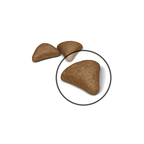 Royal Canin Hairball Care kissalle 4 kg