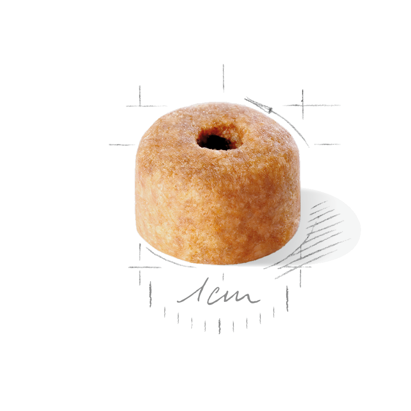 Royal Canin Labrador Retriever Puppy koiralle 12 kg