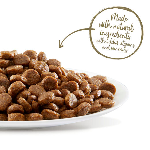 Applaws Kissa Adult Merikala ja Lohi 350g PÄIVÄYSTARJOUS