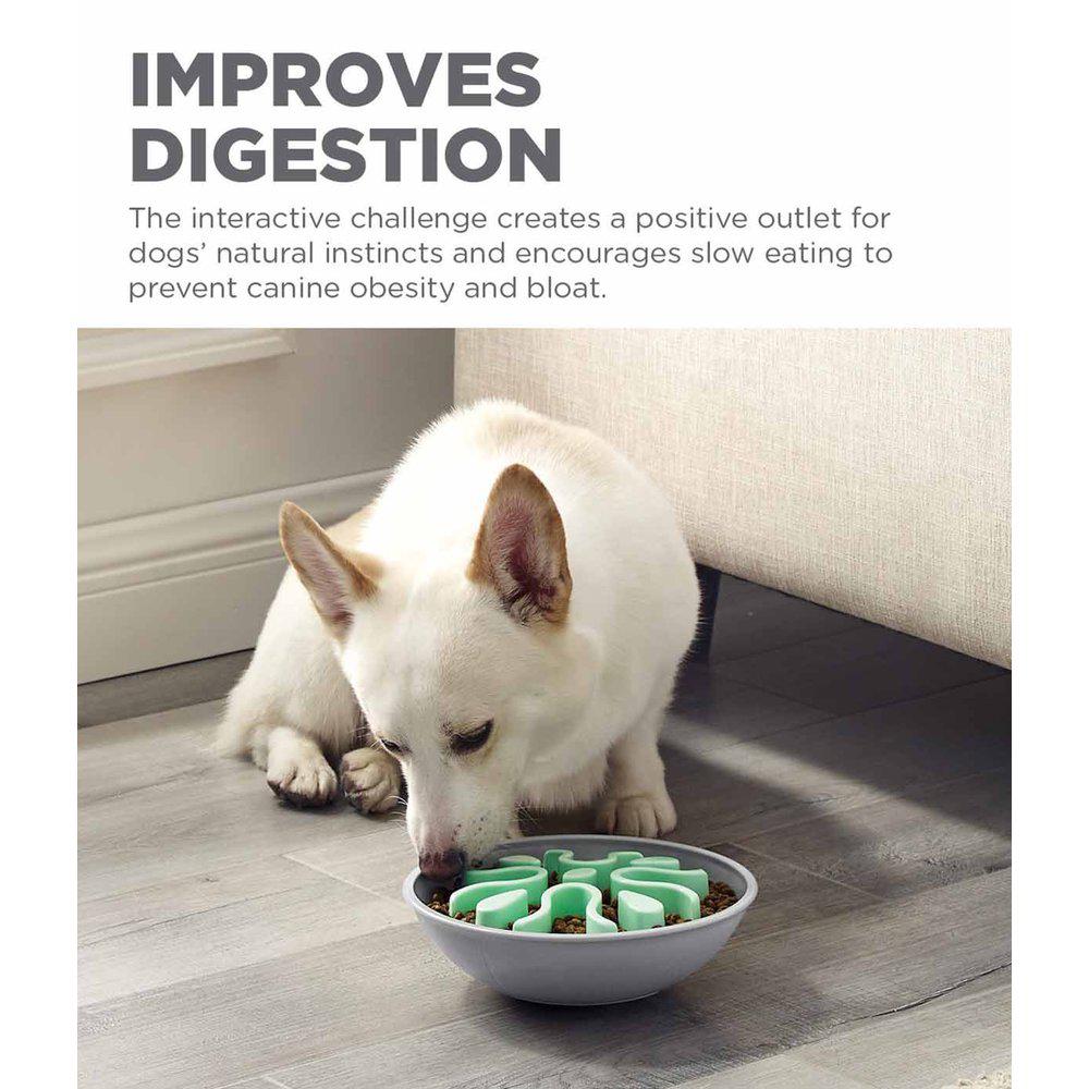 Outward Hound Fun Feeder Wobble Slow Bowl koiralle minttu
