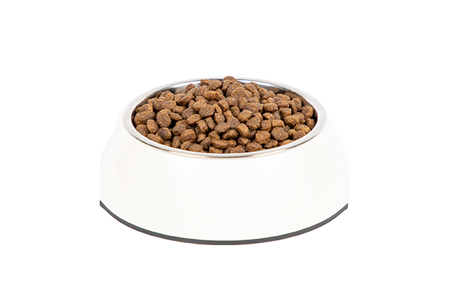 PrimaCat Kanaa pennuille ja emokissoille 1,4 kg