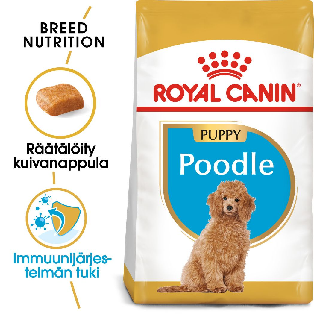 Royal Canin Poodle Puppy koiralle 3 kg