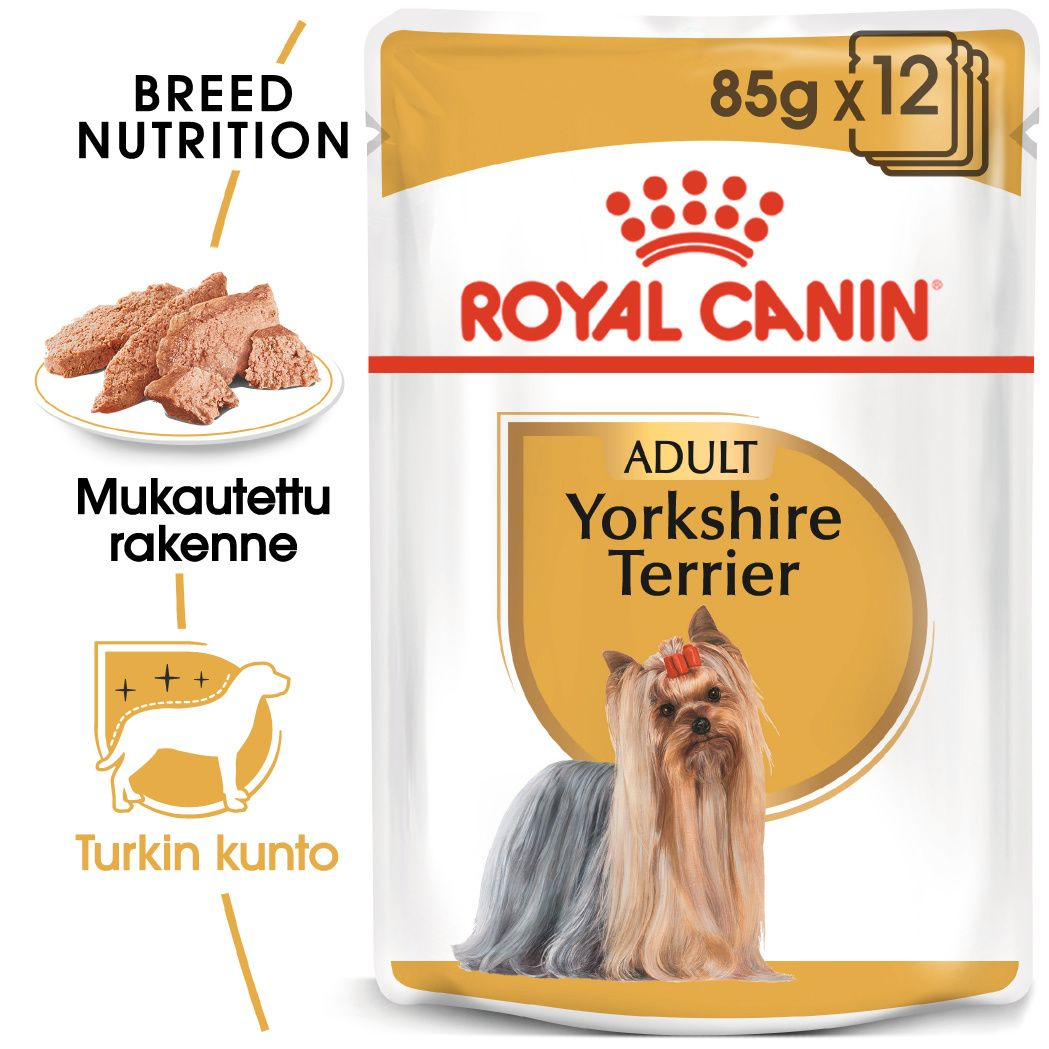 Royal Canin Yorkshire Terrier Adult koiralle 12 x 85 g