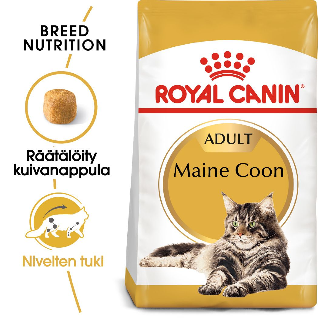 Royal Canin Maine Coon Adult kissalle 10 kg