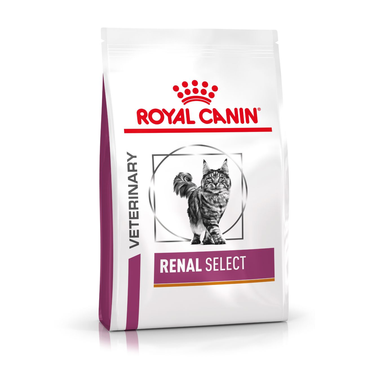 Royal Canin Veterinary Diets Renal Select kissan kuivaruoka 4 kg