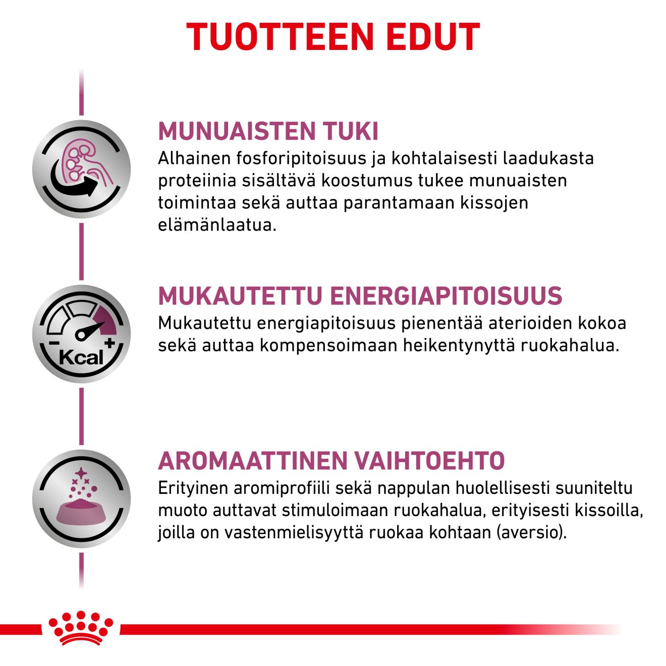 Royal Canin Veterinary Diets Renal Special kissan kuivaruoka 2 kg RIKKOONTUNUT