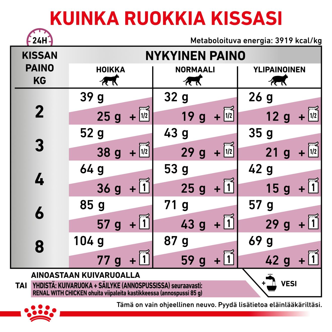 Royal Canin Veterinary Diets Renal Special kissan kuivaruoka 2 kg RIKKOONTUNUT