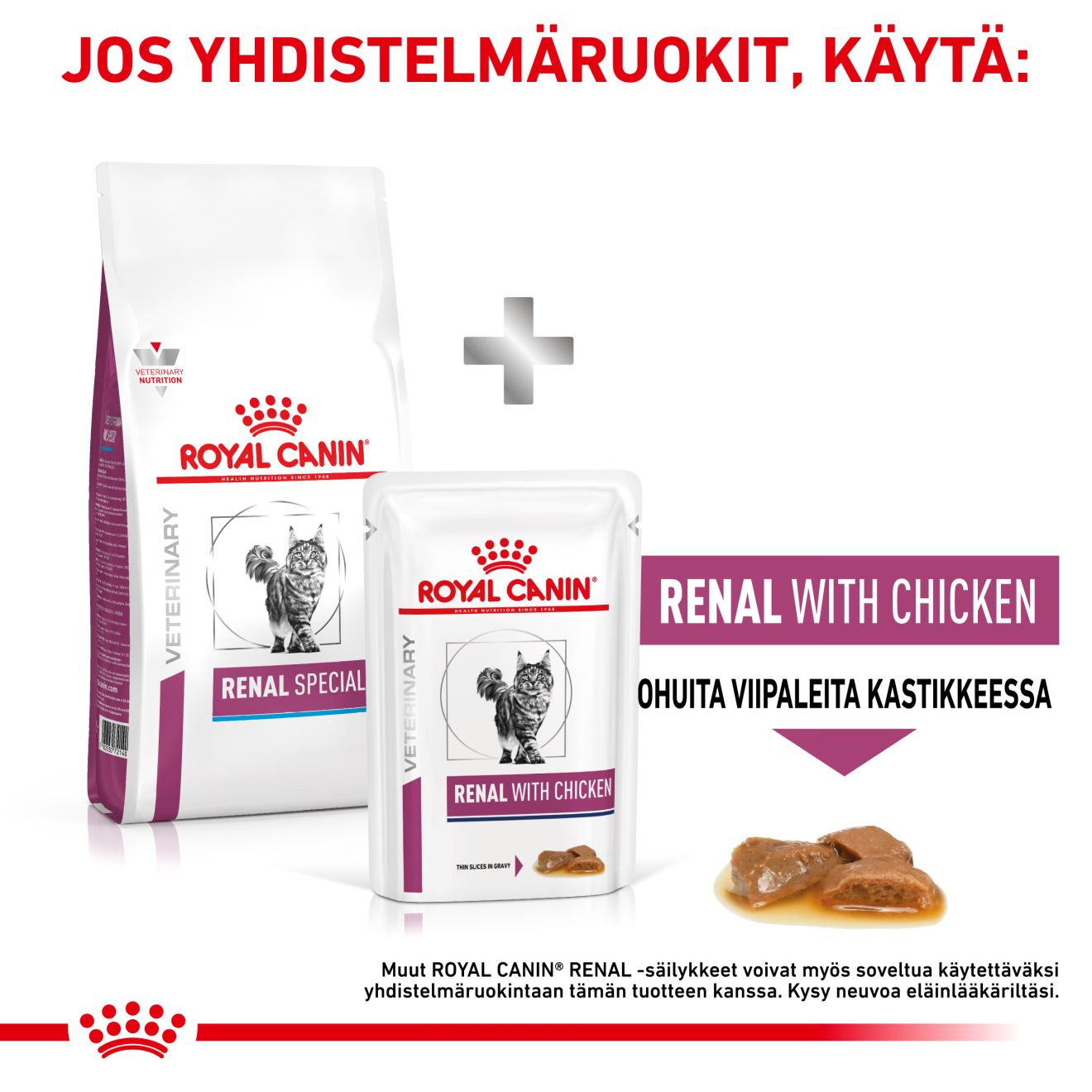Royal Canin Veterinary Diets Renal Special kissan kuivaruoka 2 kg RIKKOONTUNUT